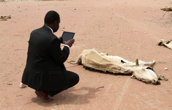 Un trabajador de ayuda humanitaria con un iPad captura una imagen  del cadáver en descomposición de una vaca muerta en Wajir, cerca de la  frontera entre Kenia y Somalia el 23 de julio. (Reuters / Stringer) 